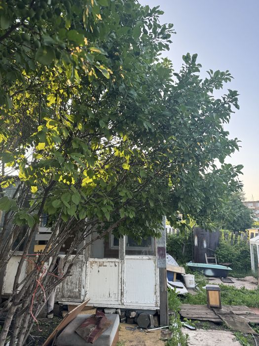 Дача в городе ,2 линия