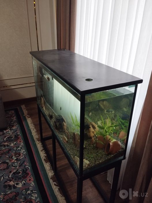 Akvarium sotiladi