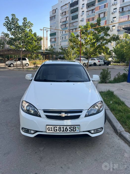 Jentra elegant pluse 2022 kraska toza