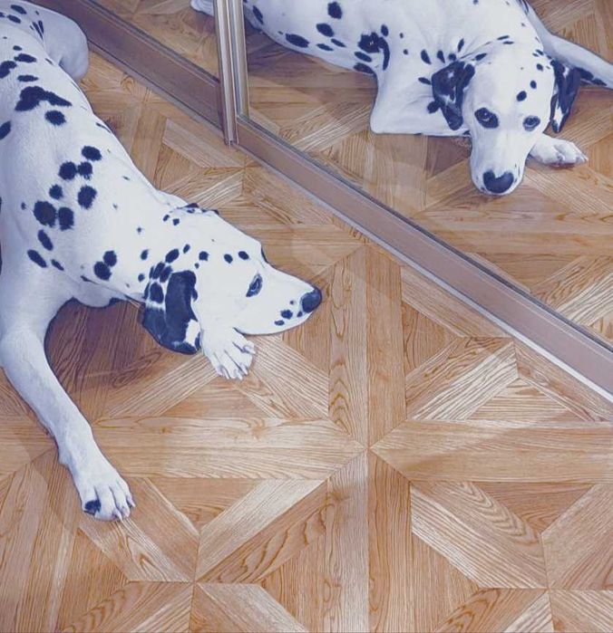 Далматинец щенок подросток