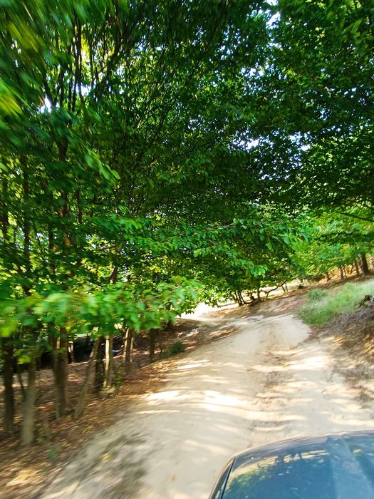 Teren  cu schiță topografica