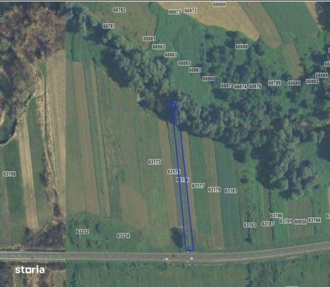 Teren extravilan arabil Baia de Cris, Hunedoara - 3070972