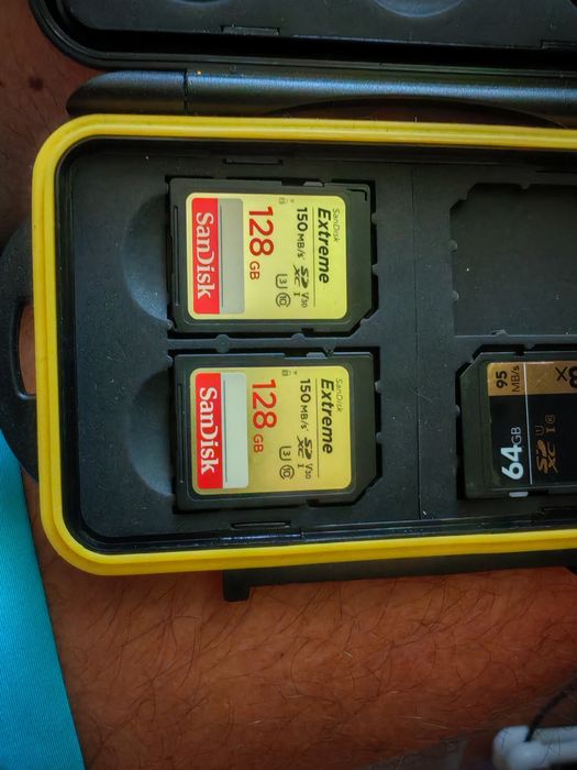 Memorii SD Sandisk - 128gb