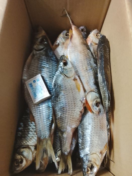 Продам Воблу с икрой