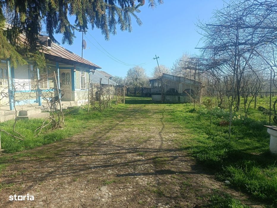 Proprietate deosebită de 8.888 mp în Habud, Prahova