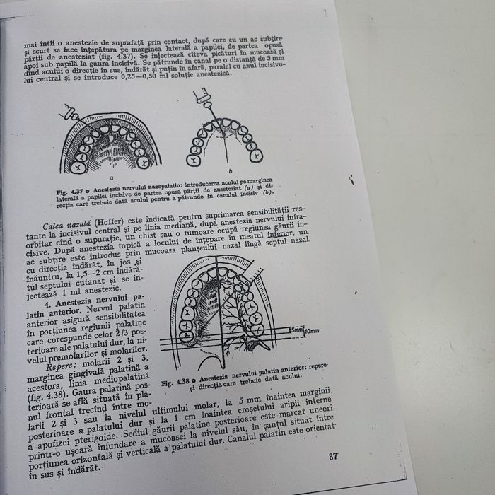 Chirurgie buco maxilo faciala burlibasa