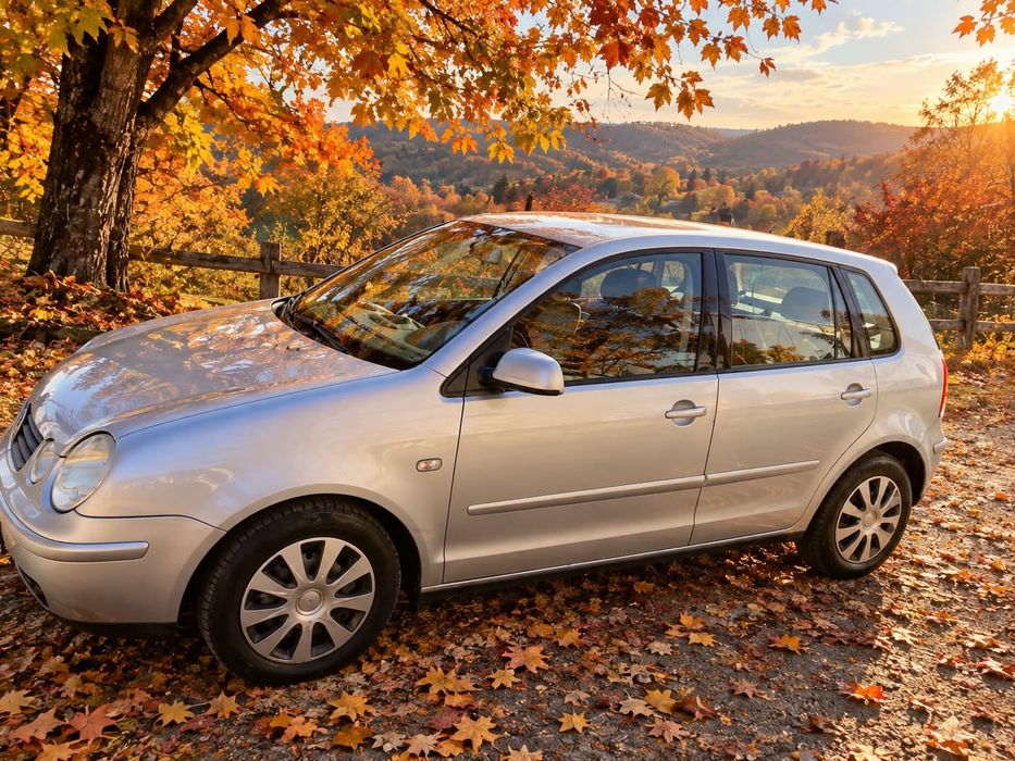 VOLKSWAGEN Polo 2002 — imagine 3
