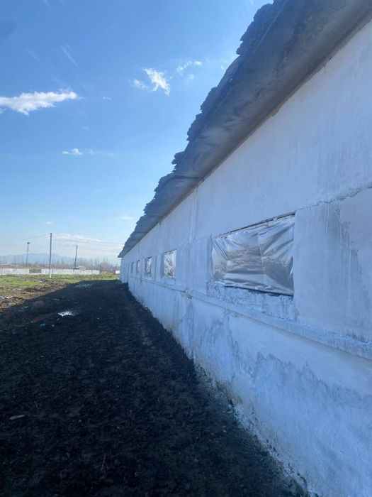 4 гектар ферма сотилади арзон нархда пулига хисобласа