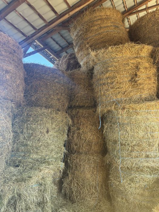 Vand baloti de lucerna