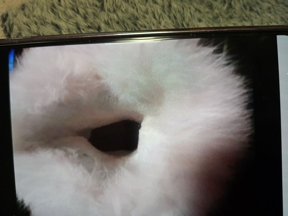 Vind cizme super îmblănite mărimea 40