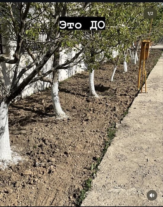 Посев газона семенами