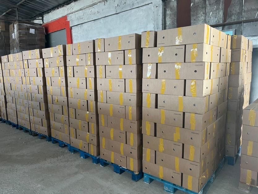 Гипсови чинии за чупене!