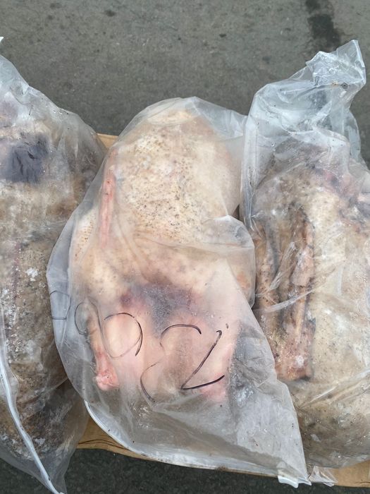 Сойылған қаз еті бар