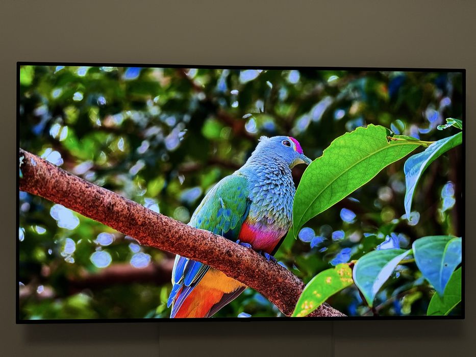 TV OLED LG 65 inch (164 cm) Clasa Premium