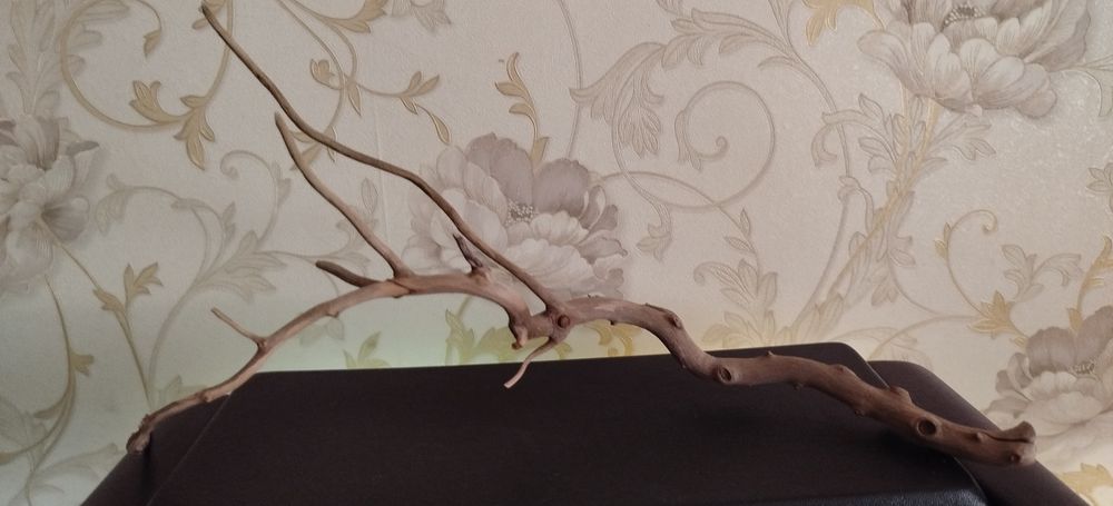 Коряги для аквариума.