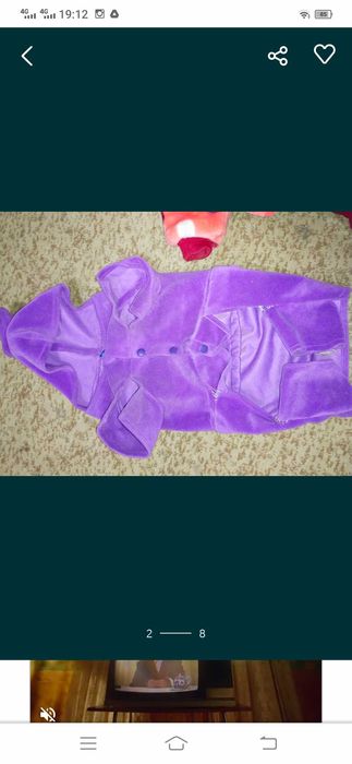 Одежда на собачку