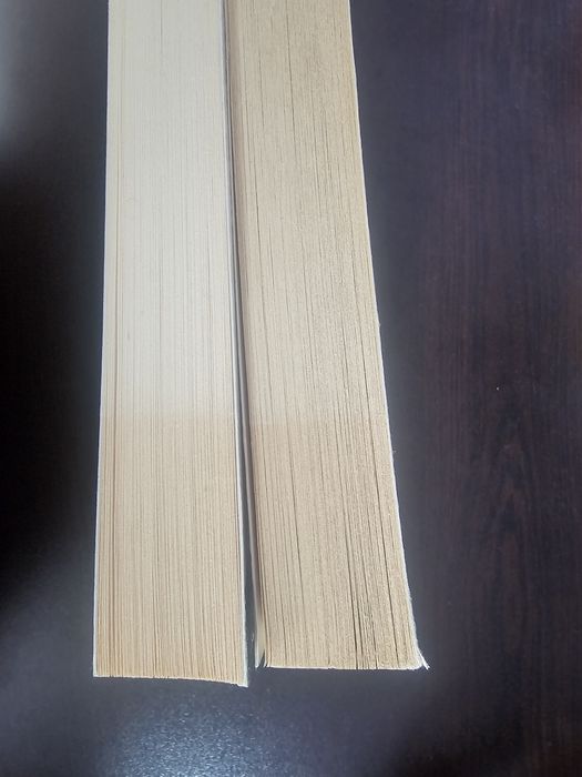 Тръпка / Копнеж, Маги Стийвотър