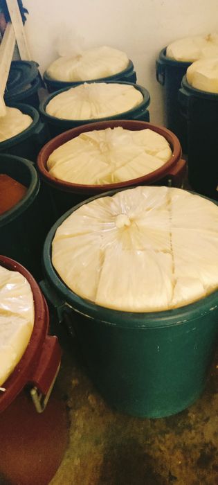 Vând brânză de oaie