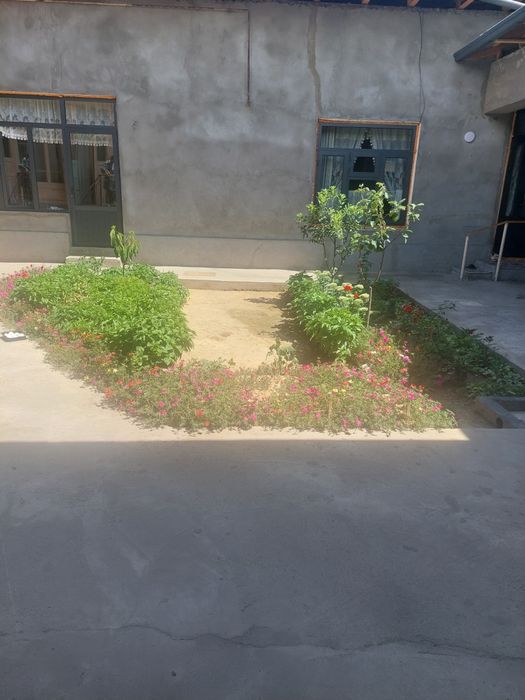 Ипакчилик.Гулзордаги Колани оркаси