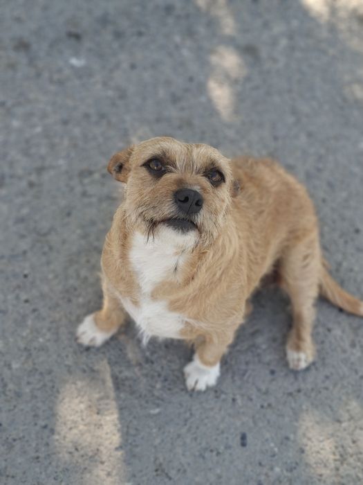 Кнопочка для семьи