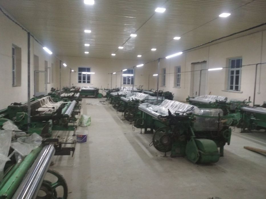 Нотурар бинолар сотилади. Хохловчилар бўлса алохида ҳам сотилади