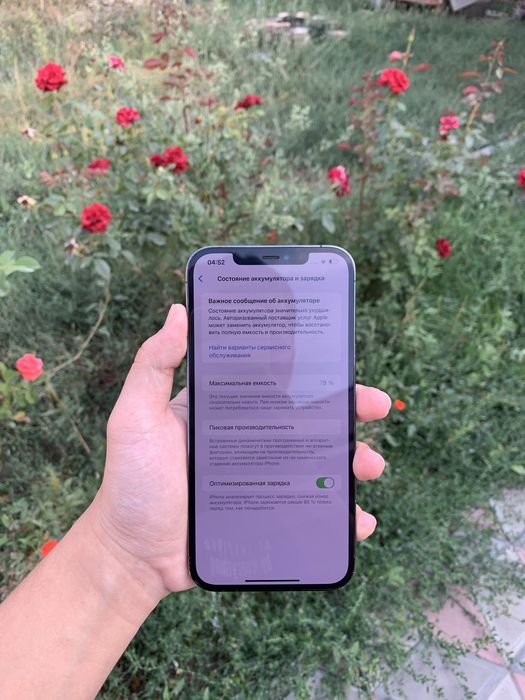iPhone 12 Pro Max.