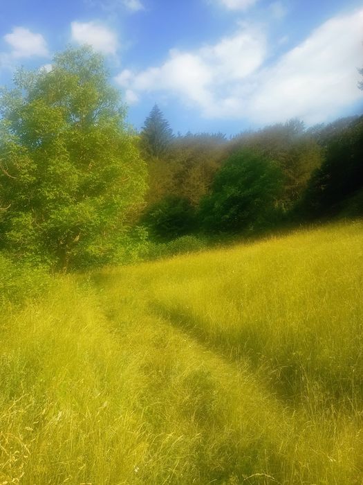 Продава се Парцел в Смолян, Стар център - 6800 кв.м за 29 €/кв.м - Снимка #3