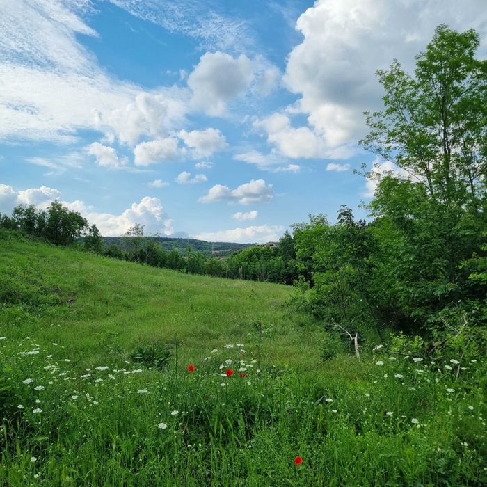 УПИ в Горна Трака с площ 881 кв.м