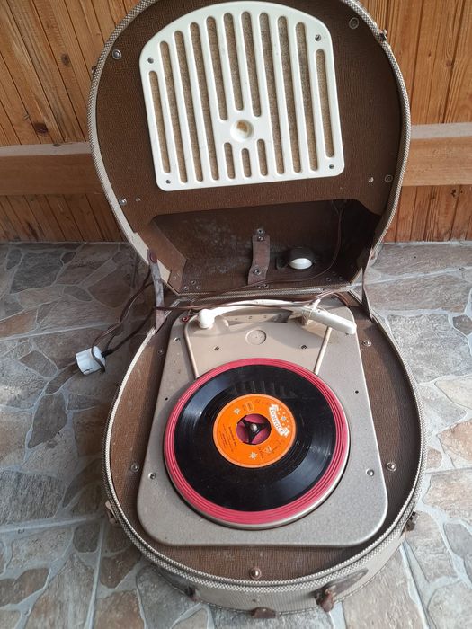 Pikupuri import germania