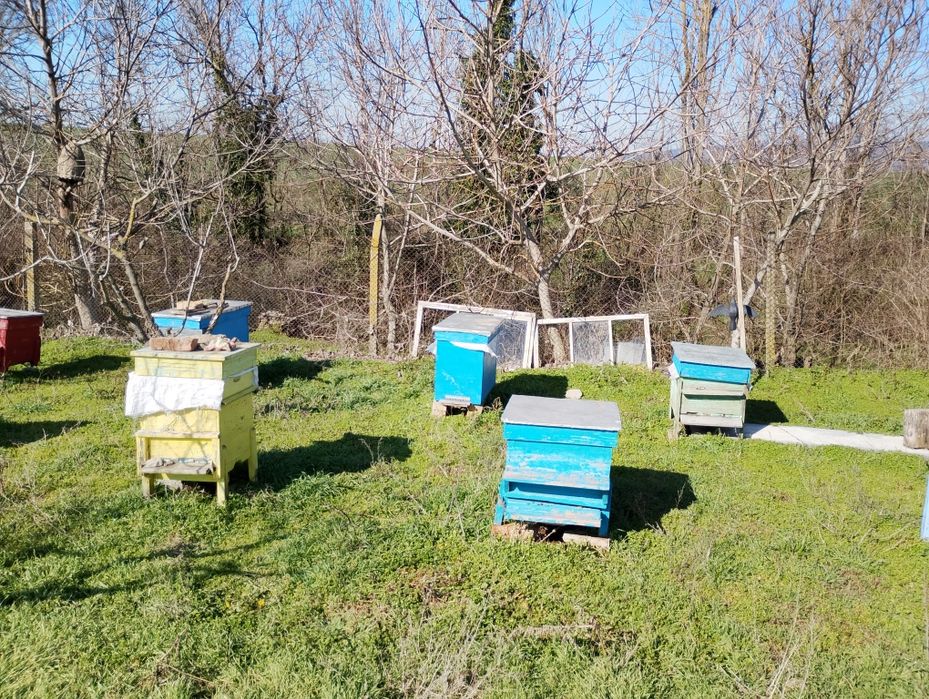 Празни пчелни кошери