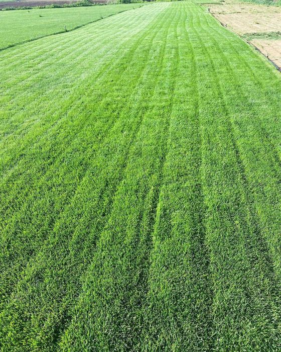 газон установка таййори ва уруги полив установка