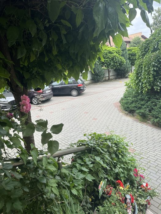 Apartament 3 cam