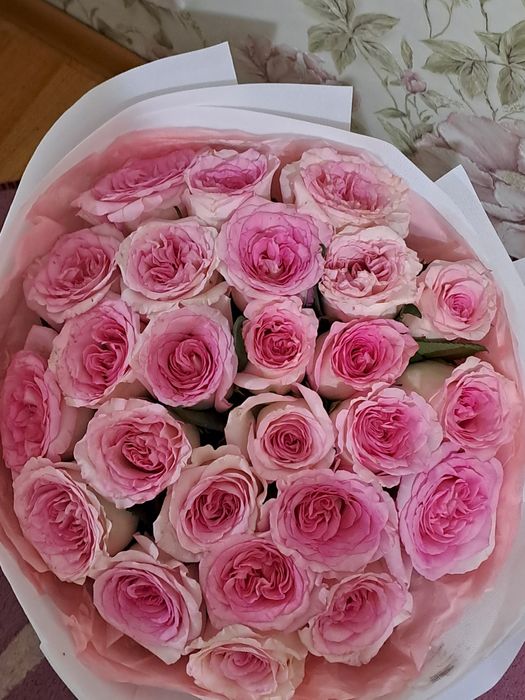 Розовые розы 25 штук