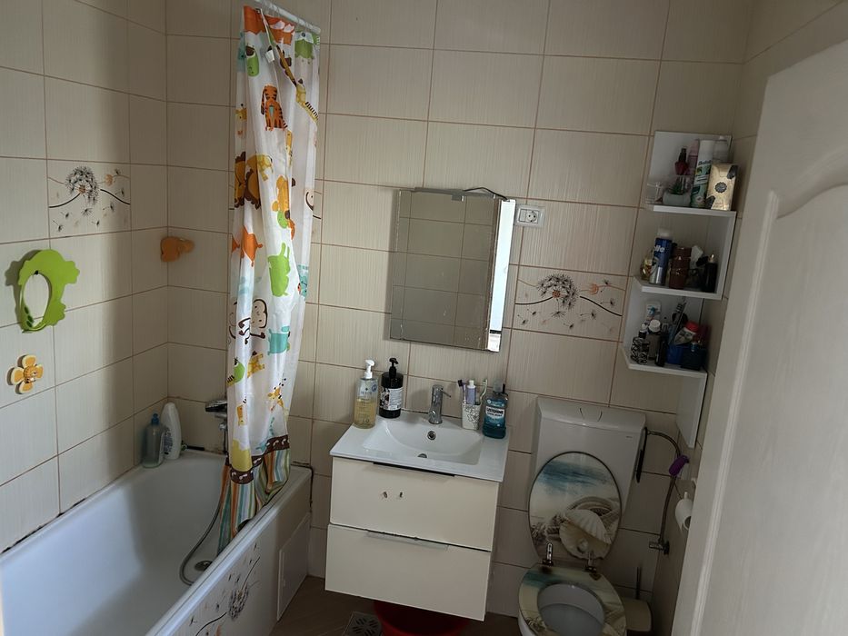 Vand casa in Timisoara