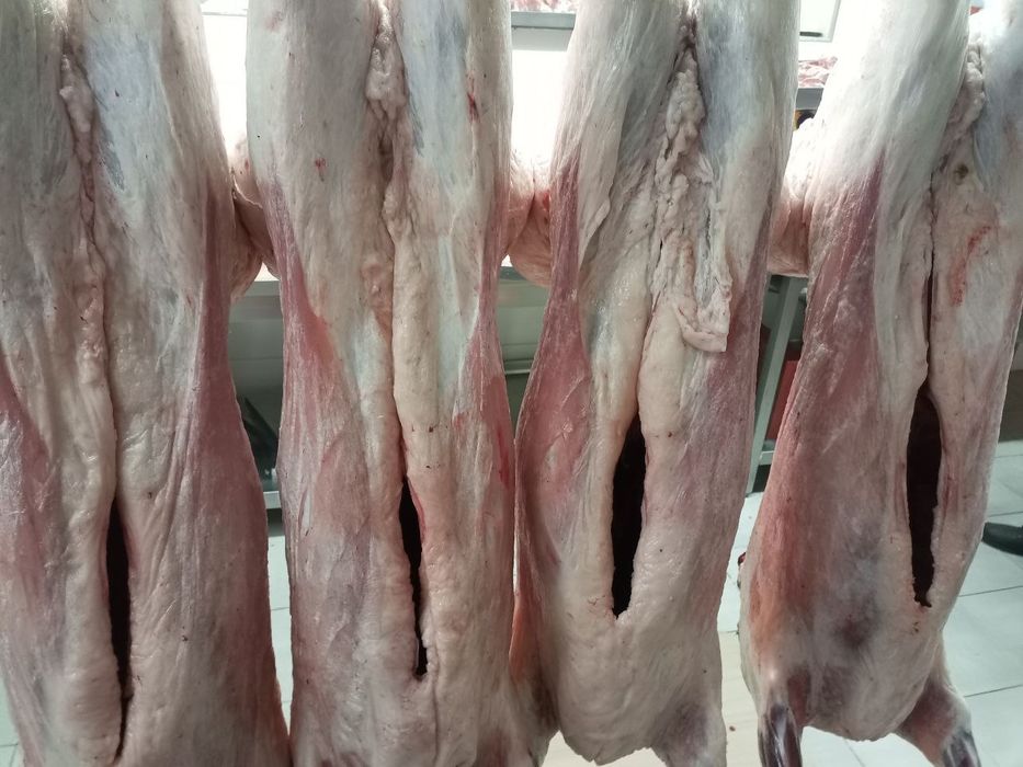 Qoylar sotiladi 25 kg dan 70 kggacan