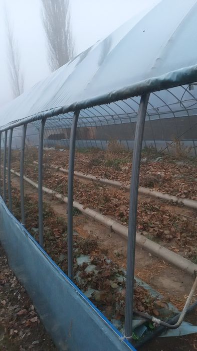 теплица продам  срочно  срочно 700000