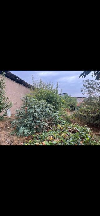 Срочно !!Продается Участок в Дурмене  6 сотков