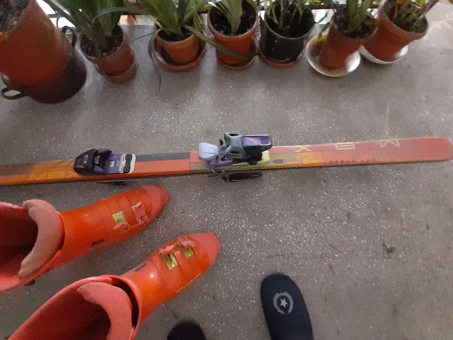 Schiuri cu clapari și   bete