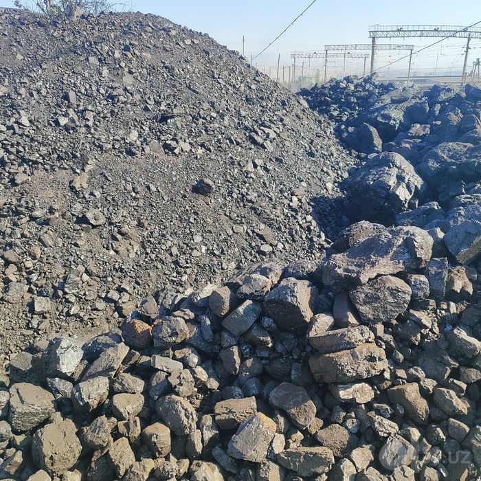 Шибаркол орешки семицки отбор копланган холатдаям бор