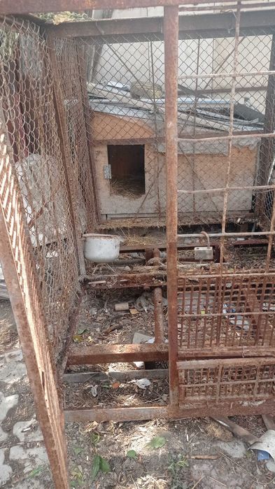 Продам вольер для сабаки