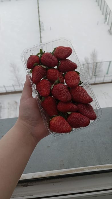 Свежие клубники 2300тг