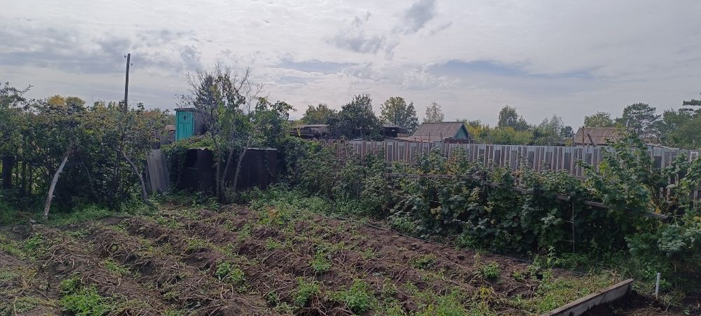 Продам дачный участок с домиком