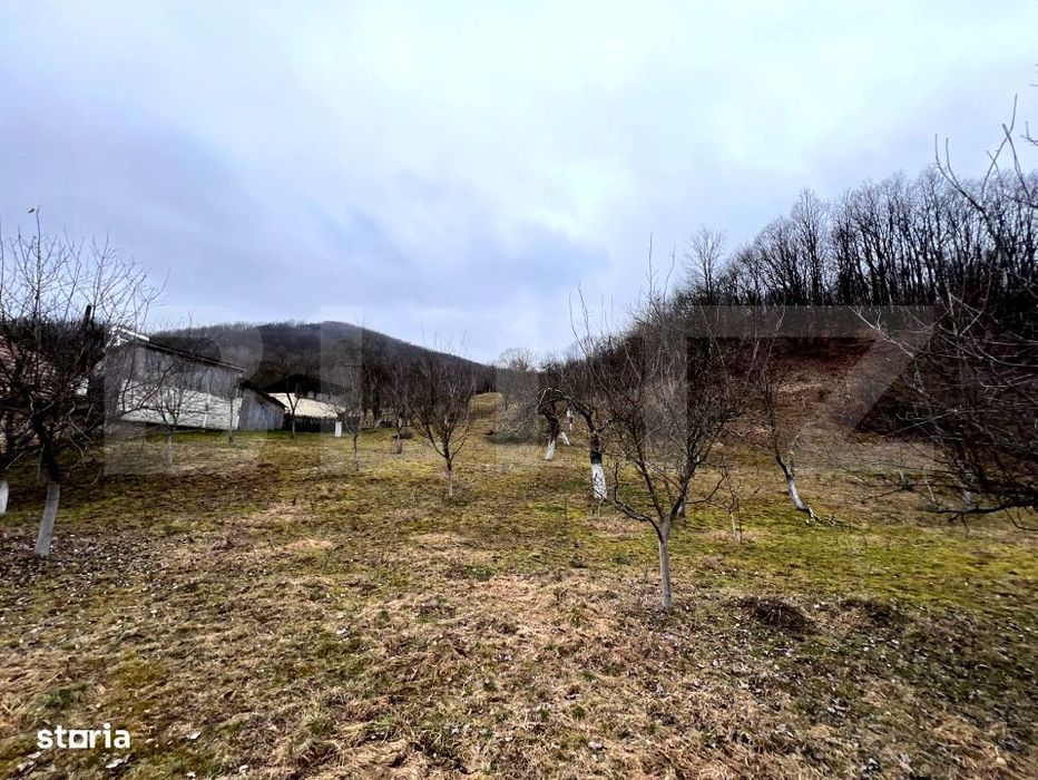 Teren intravilan 3.709 mp,  Stremt