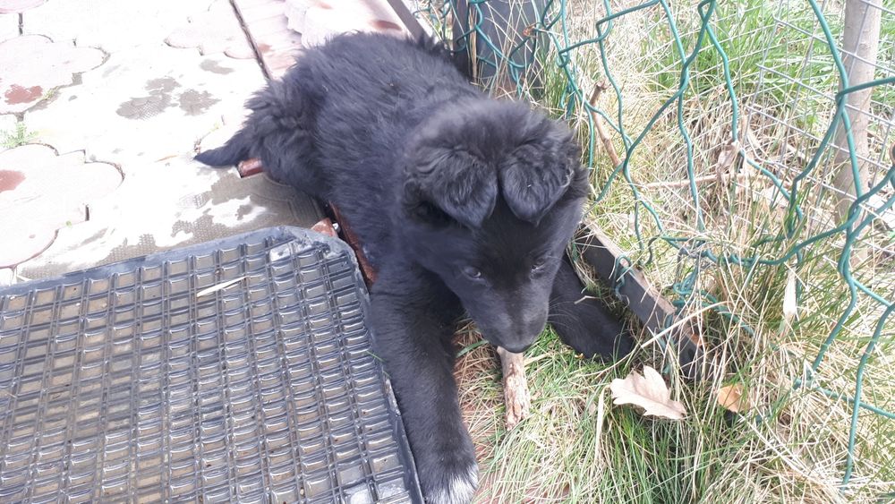 НАЙДЕНА 5 апреля 2025 в Каскелене