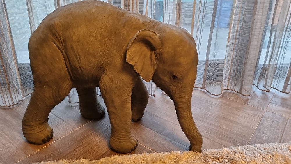 elefant fibra fibra de sticla si compozit