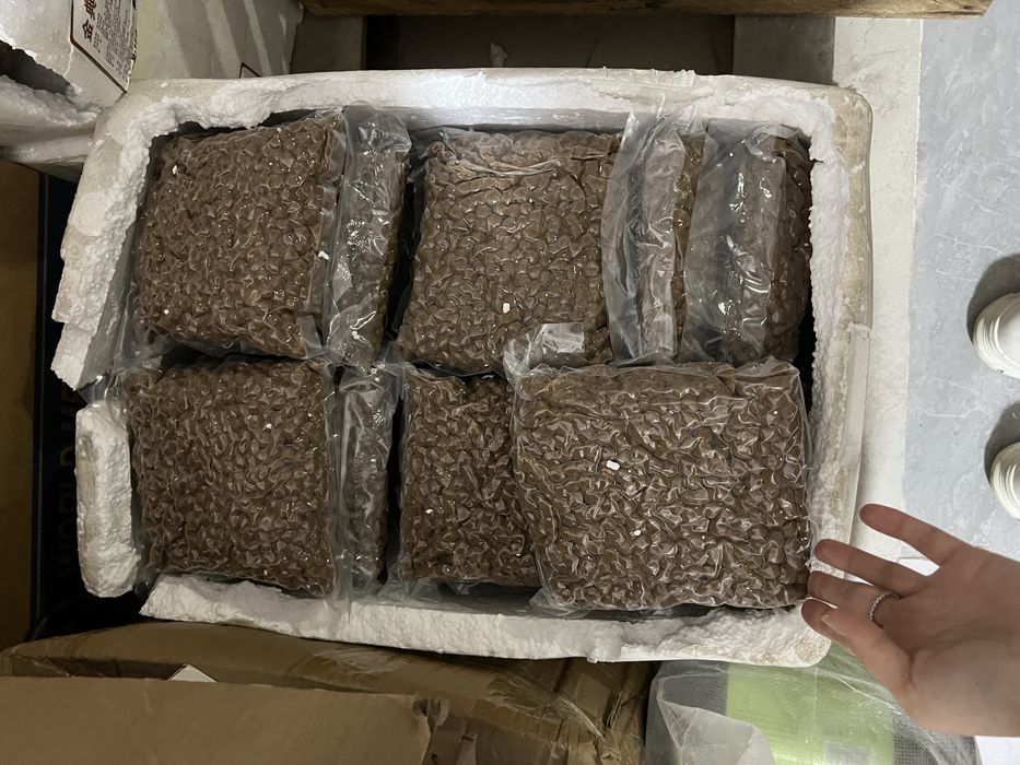 Жемчуг для Bubble Tea оптом | Шарики для напитков + трубочки