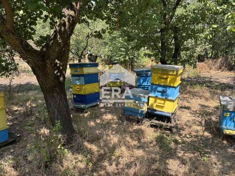 Ексклузивно!  Парцел  за продажба с партида за ток в село Момчилово, о