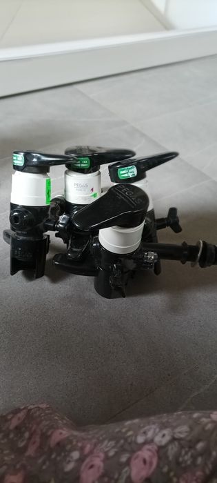 Пигасы пивные для