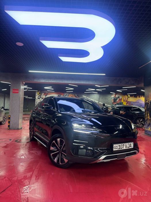 Byd Chempion 24/25 605 elektor