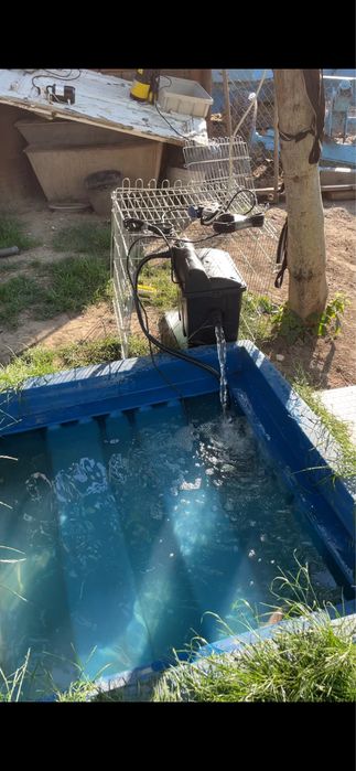 Iaz pentru pesti si pompa apa